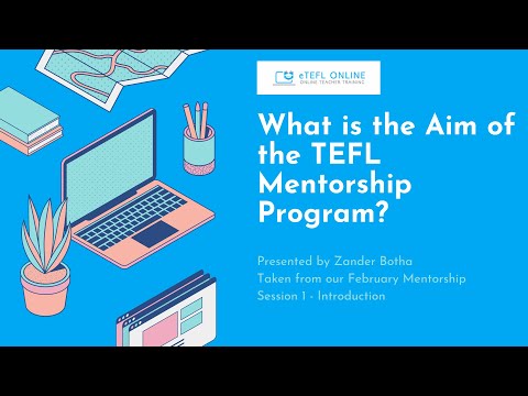 What is the aim of the Mentorship Program?