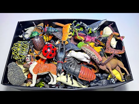 3D Puzzles Sea Animals, Wild Animals, Shark, Orca, Whale, Turtle, Wolf, Lion, Elephant, Zebra