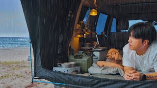 Solo Camping in Rain with My Dog . East Sea of ​​Korea . Relaxing Sound of Waves ASMR