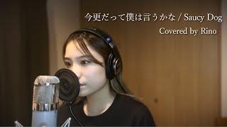 今更だって僕は言うかな / Saucy Dog (Covered by Rino)