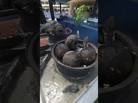 Jamaican Street Food [ Roasted Breadfruit ]