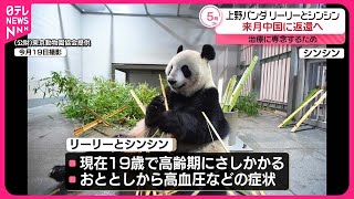 【上野動物園のパンダ】リーリーとシンシン  来月末に中国に返還