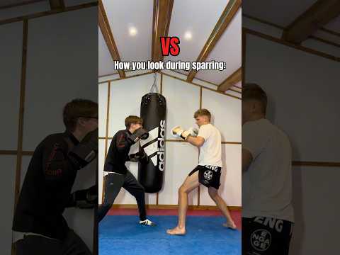 PADWORK vs SPARRING