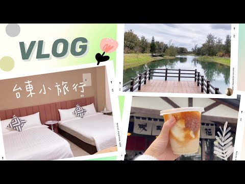 Vlog📍台東三天兩夜、台灣好行海岸線🏝️必吃臭豆腐、成功豆花!!小野柳、三仙台、台東必去景點😙鐵花村、波浪屋、台東火車站附近民宿開箱！