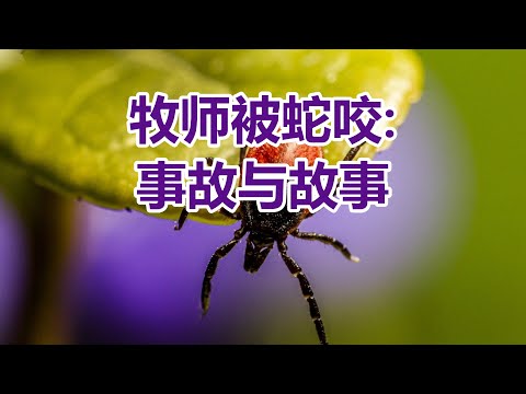 【牧师被蛇咬: 事故与故事—祝健牧师分享】阿布奎基华人基督教会主日信息 ACCC's Sunday Message (08/11) Pastor Zhu