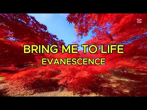 "Bring Me to Life" - Evanescence - Full Lyrics