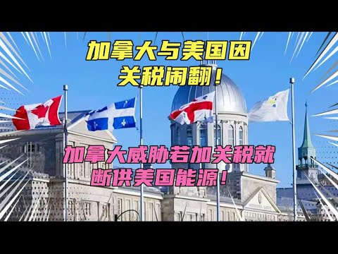 倒反天罡！加拿大与美国因关税闹翻！加拿大威胁特朗普若加关税就断供能源！懂王这是要把盟友都得罪光啊！