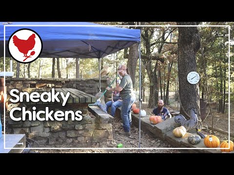 Prepping for a Feast & Sneaky Chickens | Vlog