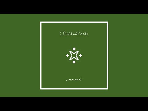 PIKASONIC - Observation