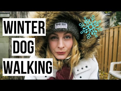 WINTER Clothing for DOG WALKERS