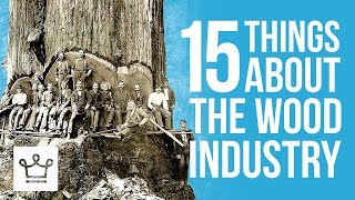 15 Things You Didn't Know About The Wood Industry