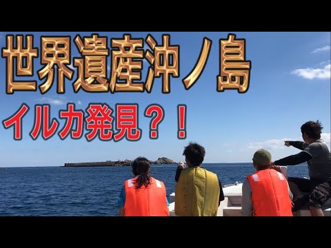 世界遺産沖ノ島にイルカ