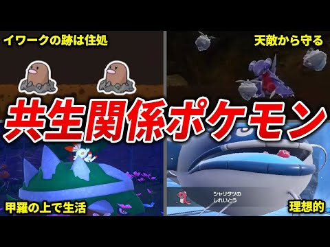 ポケモン同士の共生関係をまとめてみた【ポケモン相関図】