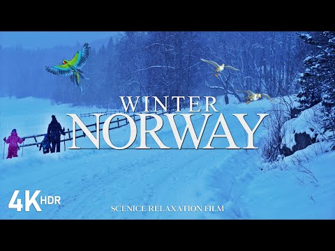 Winter in Norway with Relaxing Music | 4K scenic Relaxation Film