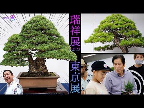 Workshop by Masahiko Kimura! I went to the Zuisho Exhibition and the Tokyo Exhibition. [Bonsai Q]