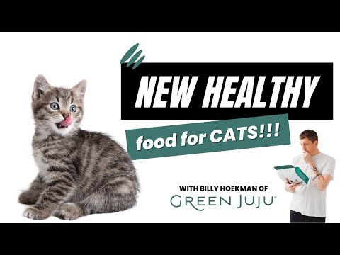 A New & Healthy Cat Food! | with Billy Hoekman | Two Crazy Cat Ladies