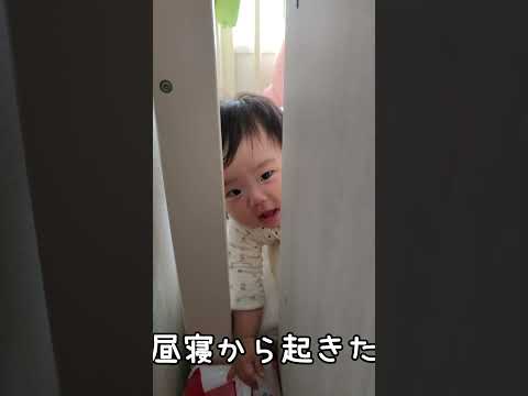 昼寝から目覚めてベッドのすき間から覗いてくる0歳児【250Days】 #baby