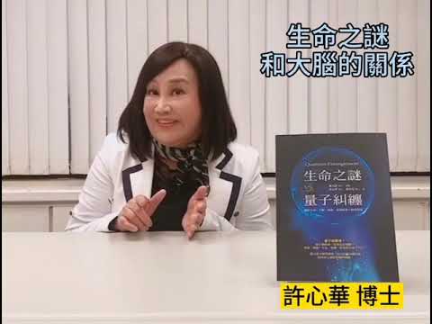 【量子糾纏BV】「做事不經大腦」並非罵人的話，而是真的？！