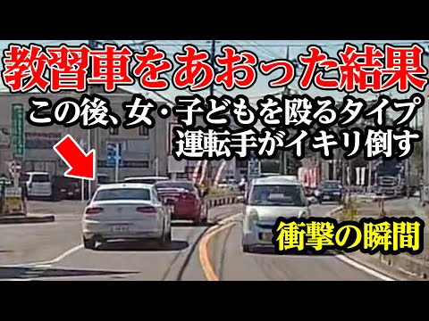 女、子どもを殴るタイプの運転手、教習車をあおった結果【閲覧注意】交通事故・危険運転 衝撃の瞬間【235】