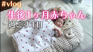 【生後1ヶ月】ワンオペ育児｜抱っこひもエルゴに頼りまくりの1日ルーティンvlog👶🏻🍼