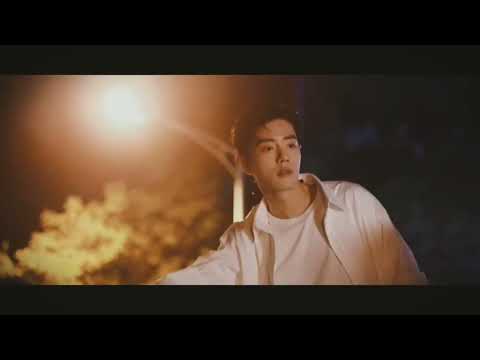 Xiao Zhan 1st Album Track 3 song 还原 (Restore) FMV