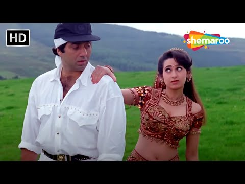 रुक मजनू आज मेरा दिल | Ruk Majnu Aaj Mera Dil | Ajay (1996) | Karisma Kapoor | Sunny Deol Hits