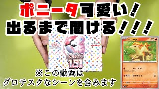 【ポケカ】ポニータ出たら即終了！ポケモンカード151を1BOXポニータが出るまで開け続ける！！！【ポケモンカード/開封動画】【ポケモンカード151】