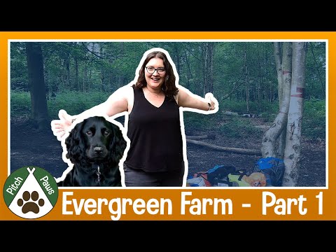 COMPLETELY NEW TO HAMMOCK CAMPING | Getting lost and camping with our dog | PART 1 - Evergreen Farm