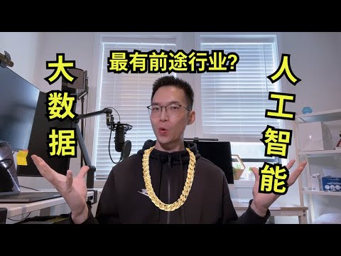 大数据和人工智能是什么？是最有前途的科技行业吗？【程序员杂谈】