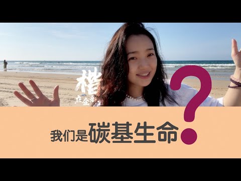 我们是【碳基生命】？