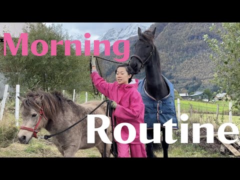 我在挪威换宿的早上routine｜早餐 喂动物 聊聊寄宿家庭的情况