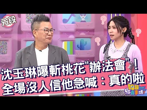 沈玉琳曝斬桃花辦「分離法會」！全場沒人信讓他急喊：真的啦！沈玉琳 曾智希︱Part4/4 EP220👋20241212︱哈囉 你有事嗎