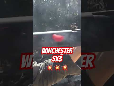 Winchester SX3 fastest shotgun #ozziereviews #shooting #firearms #slowmotion #winchester #12gauge