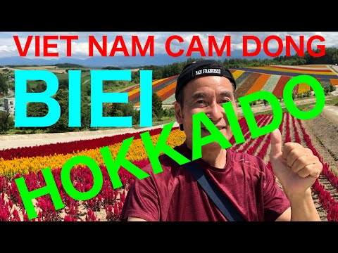 VIET NAM CAM DONG    BIEI HOKKAIDO