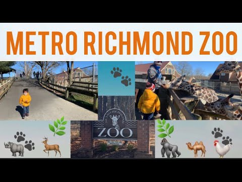 METRO RICHMOND ZOO | Fun Day in Zoo | RVA 2021