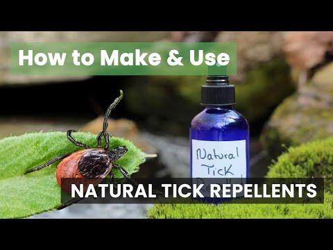 Unlocking Nature's Defense: How to Make and Use Natural Tick Repellents