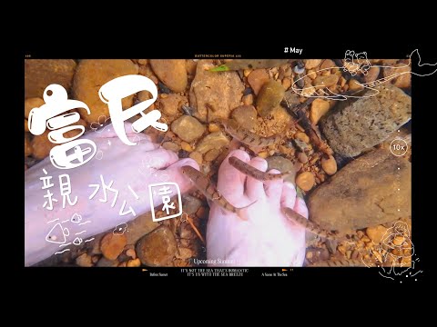 【富民親水公園】🤫基隆七堵秘境｜🐟宮崎峻風溪流｜📍偽出國網美打卡賞桐花步道｜🐌免爬山