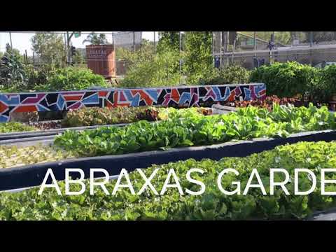 Abraxas Gardens in Poway California