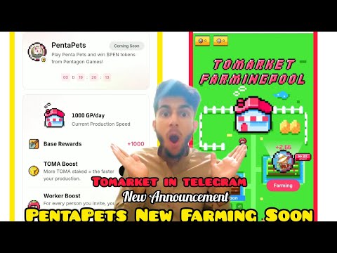 Tomarket Weekly Airdrop Calculating 🤑 Tomarket Farming pool update!! Tomarket PentaPets Farmingpool