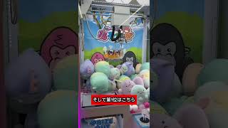 これはさすがに出禁？#shorts  #クレーンゲーム #ufoキャッチャー#ゲーセン #ゲームセンター  #arcade #clawmachine #日本夾娃娃