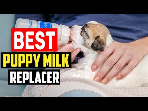 ✅Top 5 Best Puppy Milk Replacer Reviews of 2023