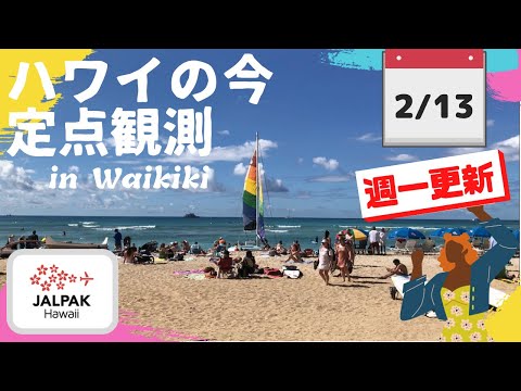 【ハワイの今】ワイキキ定点観測  2024年2月13日