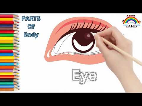 "Learning Body Parts with Drawing #1| Fun Art Lessons for Kids"