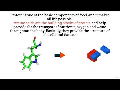 Macronutrients