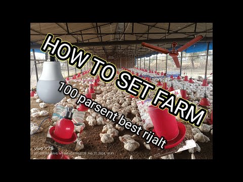 HOW TO SET A POLTRY FARM TO GET BEST RIJALT 💯🤑🤑🤑