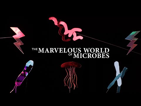 The Marvelous World of Microbes Trailer