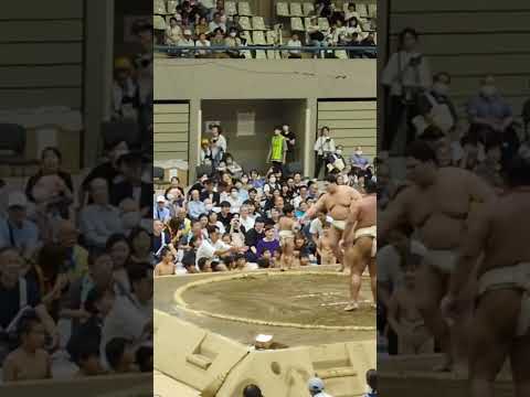 【大相撲】夏巡業神奈川県座間場所❗️ちびっ子相撲😁倶楽部所属小学二年選手、湘南乃海関に勇敢に立ち向かいました💪😃【五十嵐相撲倶楽部】