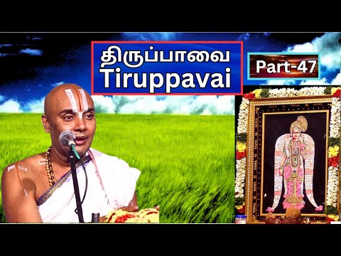 திருப்பாவை பகுதி - 47, Tiruppavai  - Akkarakani U Ve Srinidhi Swami, Vani Mahal,