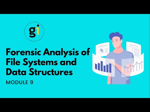 MODULE 9 - Forensic Analysis of files systems and data structures