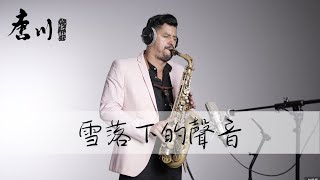 【Cover系列】雪落下的聲音 薩克斯風 - Diogo Saxophone